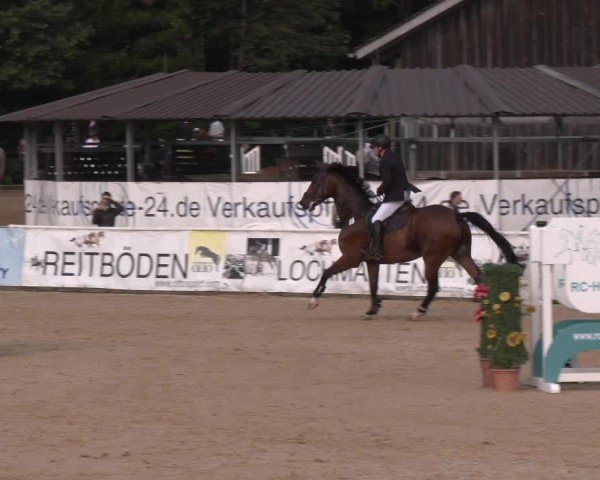 Reitturnier Ranshofen - Braunau am Inn 2024