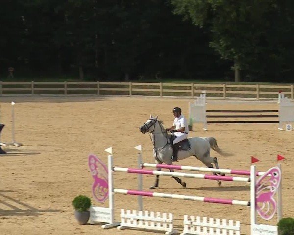 Reitturnier Tiefenhof/Opf. 2024