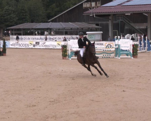 Reitturnier Ranshofen - Braunau am Inn 2024