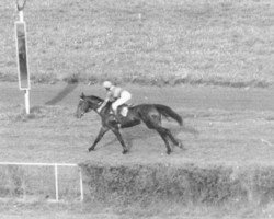 broodmare Bajadera AA (Anglo-Arabs, 1983, from Jar)