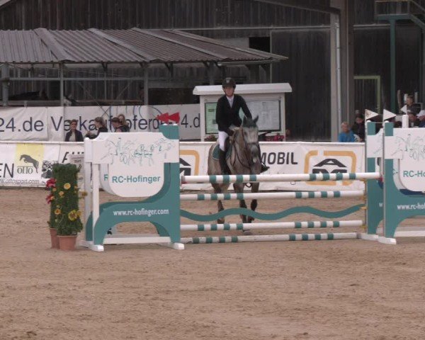 Reitturnier Ranshofen - Braunau am Inn 2024