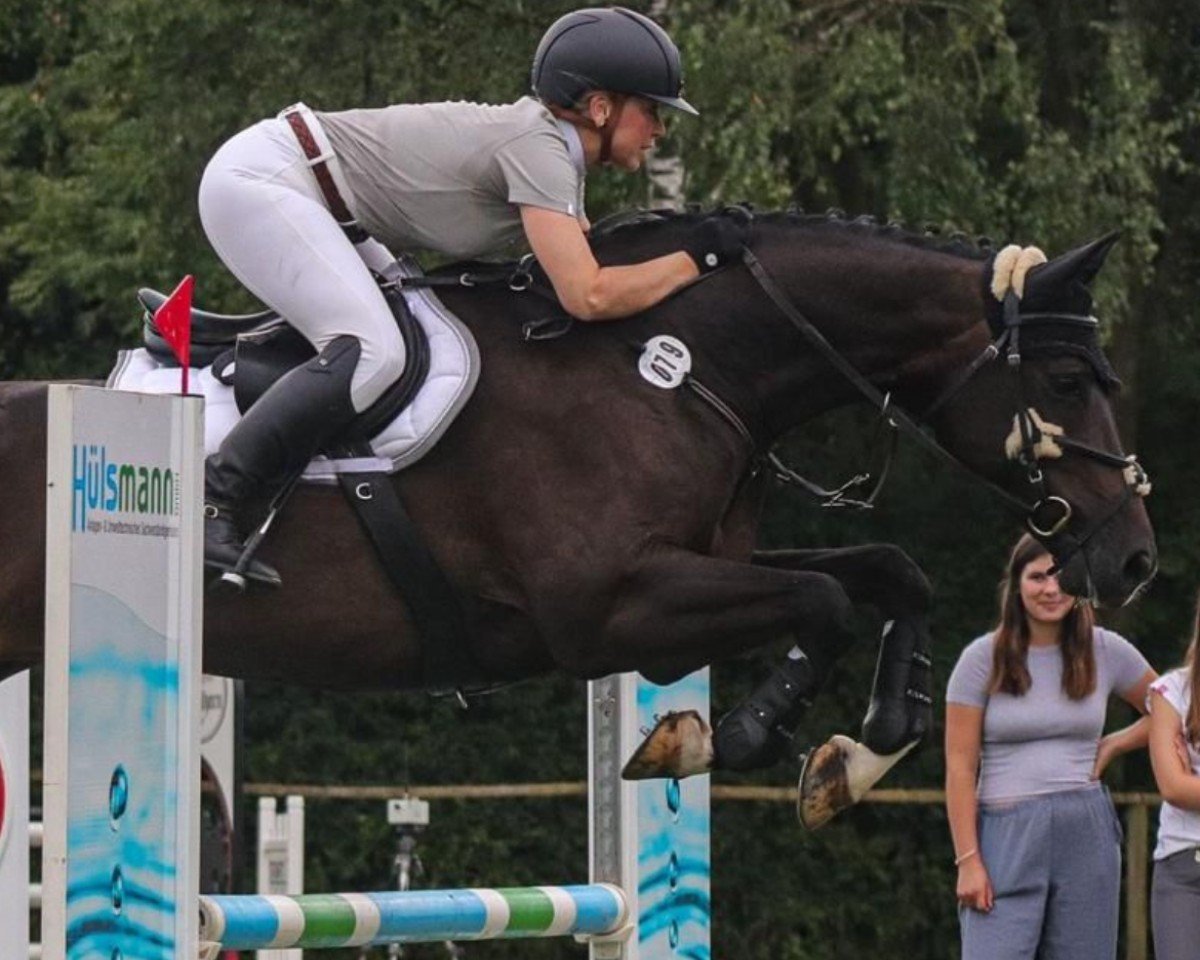 broodmare Carlotta GD (Westphalian, 2010, from Christoph Columbus)