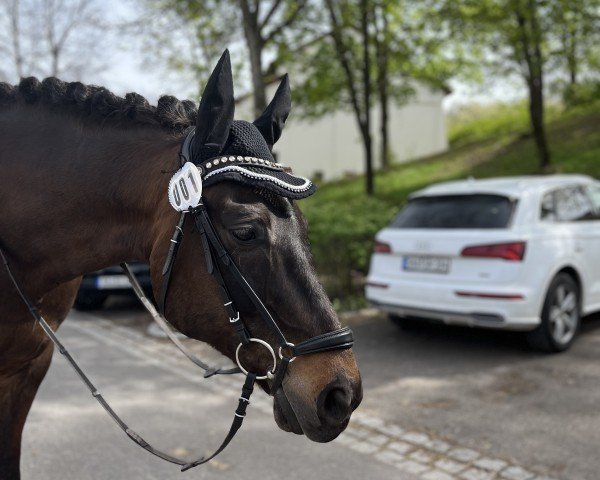 Dressurpferd Tauron (Polnisches Warmblut, 2010, von Huzar)