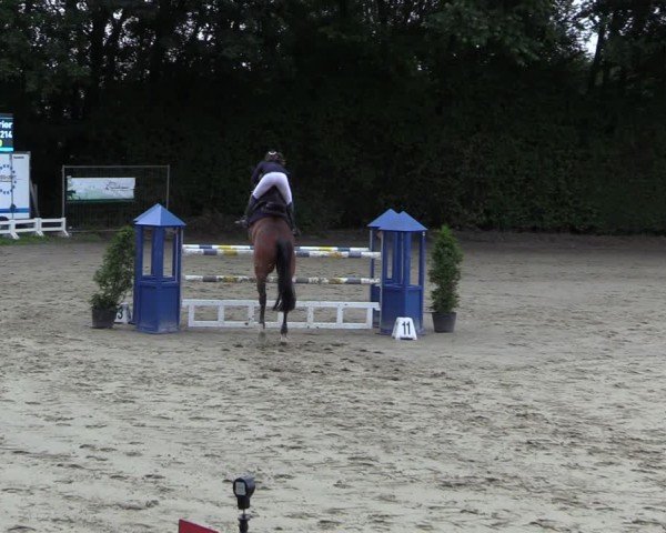 Reitturnier Arnsberg-Holzen 2024