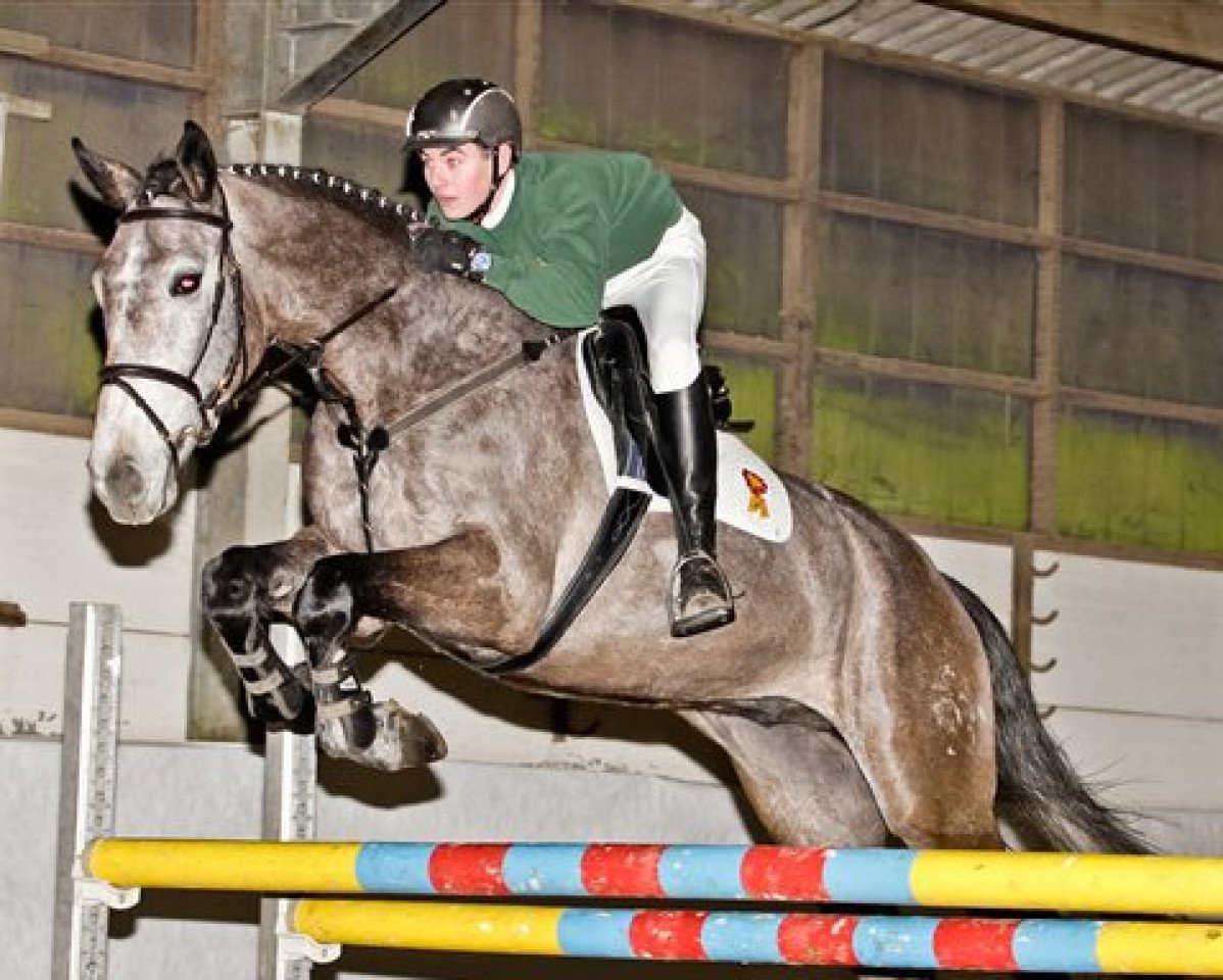 jumper Casimir 144 (Zweibrücken, 2009, from Clinton H)
