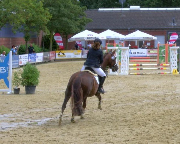 Reitturnier Stadtlohn 2024