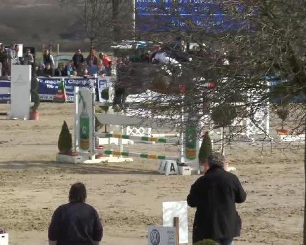 Lenklarer Reitertage auf der Reitsportanlage Gripshöver 2013