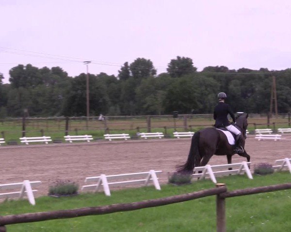 Reitturnier Nettetal-Lobberich 2024