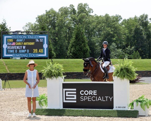 jumper Heavenly W (KWPN (Royal Dutch Sporthorse), 2012, from Calvaro Z)