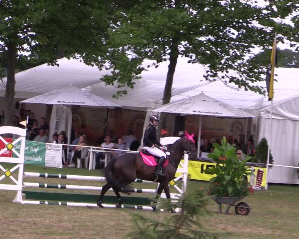 Reitturnier Zobbenitz 2024