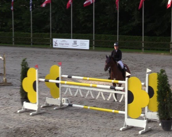 Reitturnier Klein Roscharden 2024