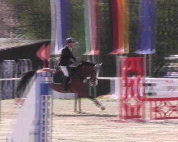 Dressur- und Springturnier Eröffnung der grünen Saison 2013