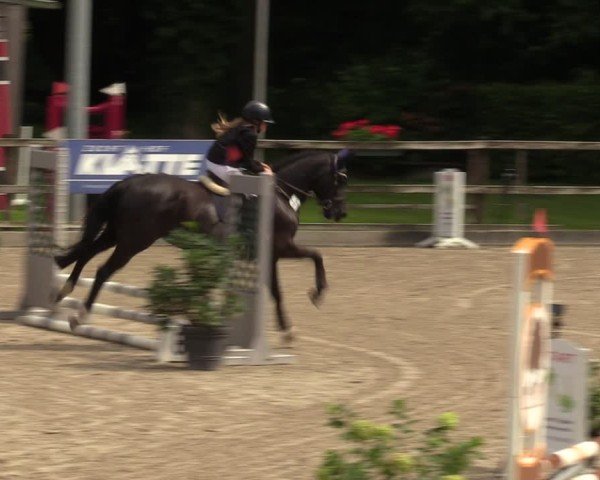 Reitturnier Klein Roscharden 2024
