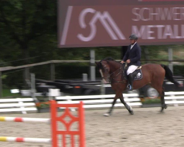 Reitturnier Monschau-Mützenich 2024