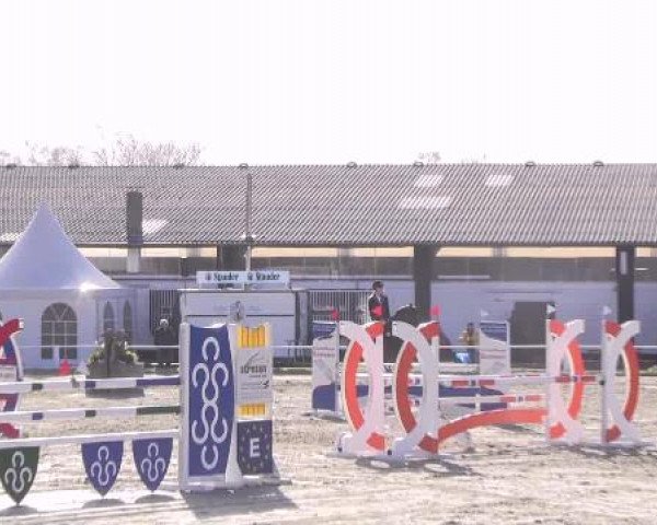 Dressur- und Springturnier Eröffnung der grünen Saison 2013