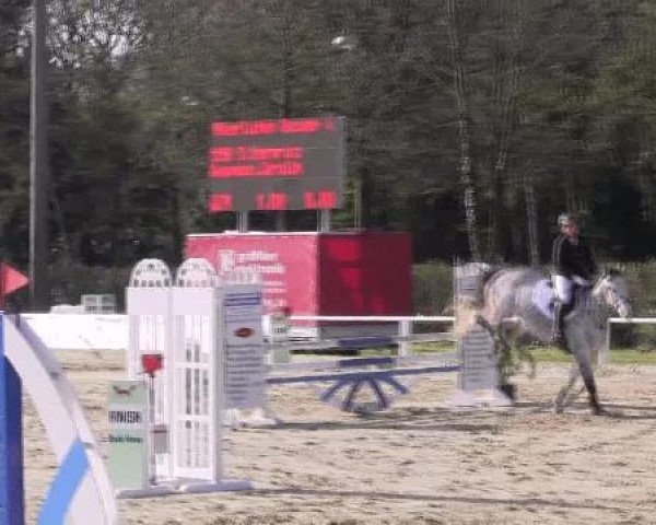 Dressur- und Springturnier Eröffnung der grünen Saison 2013
