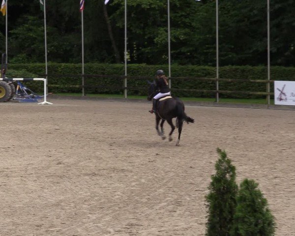 Reitturnier Klein Roscharden 2024