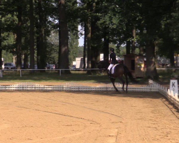 Reitturnier Zobbenitz 2024