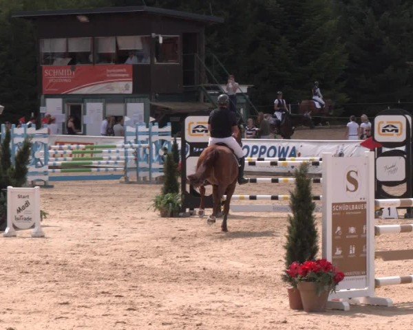 Reitturnier Ranshofen - Braunau am Inn 2024