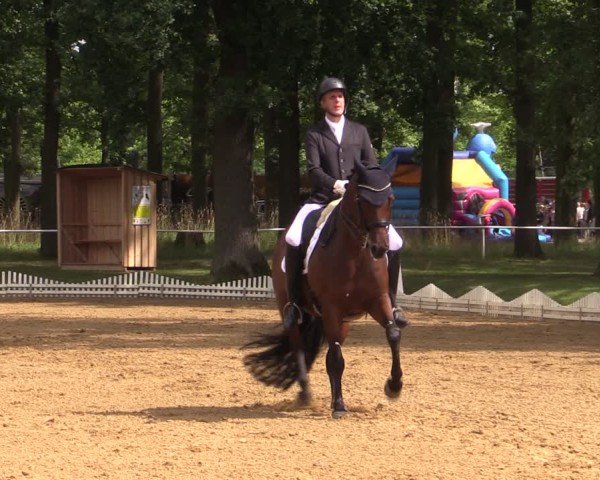 Reitturnier Zobbenitz 2024