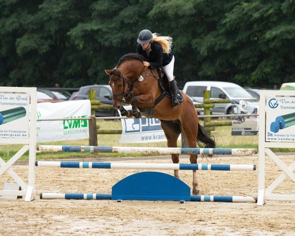 jumper Jiggles up (KWPN (Royal Dutch Sporthorse), 2018, from Janeiro)