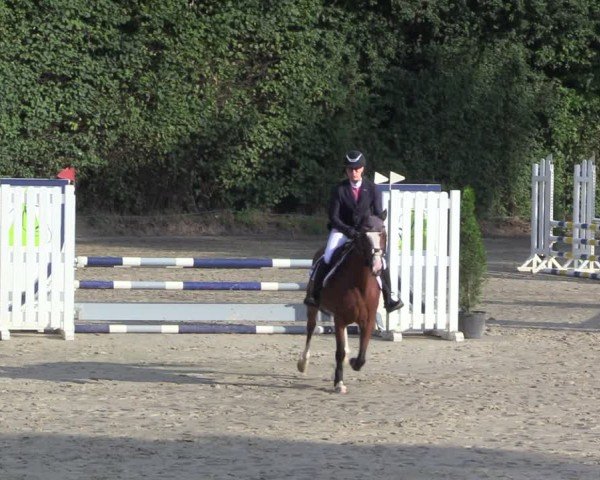 Reitturnier Arnsberg-Holzen 2024