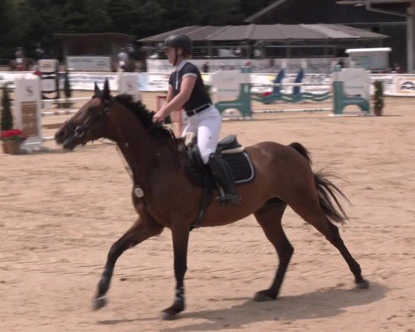 Reitturnier Ranshofen - Braunau am Inn 2024