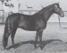 stallion Julius Caesar xx (Thoroughbred, 1949, from Ticino xx)