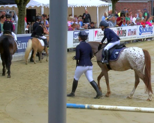 Reitturnier Stadtlohn 2024