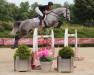 jumper Solenska vd Messidor (Belgian Warmblood, 2018, from Cornet Obolensky)