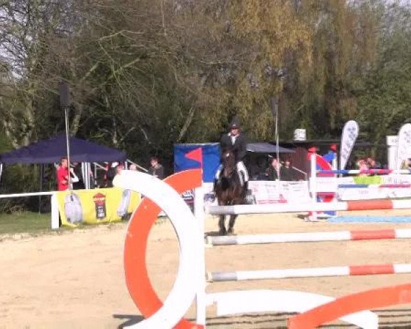 Dressur- und Springturnier Eröffnung der grünen Saison 2013