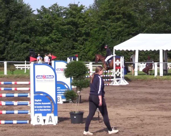 Reitturnier Sollerup 2024