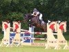 jumper Black Pepper 8 (German Riding Pony, 2010, from Hilkens Black Delight)