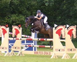 jumper Black Pepper 8 (German Riding Pony, 2010, from Hilkens Black Delight)