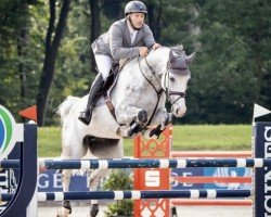 jumper Chajana PS (Oldenburg show jumper, 2016, from Chacoon Blue)