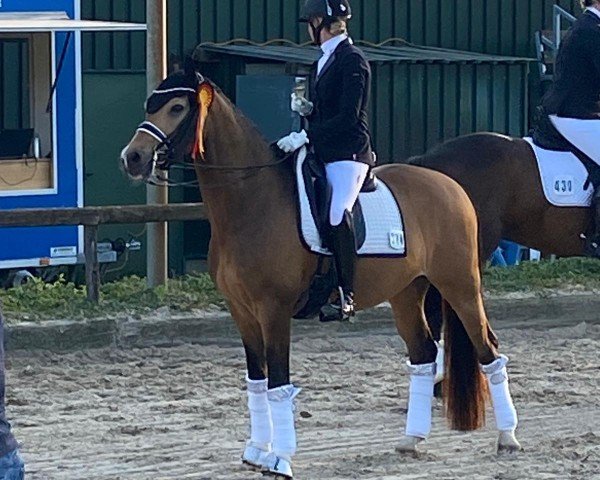 dressage horse Marty Mc Fly S (German Riding Pony, 2015, from FS Mr. Right)