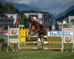 jumper Mai Dou de La Cour (Hanoverian, 2013, from Dauphin)