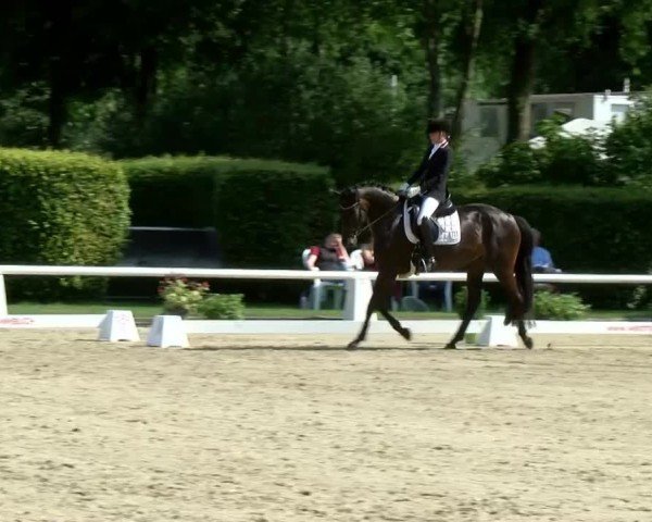 Reitturnier Münster-Handorf | Westfalen-Woche 2024