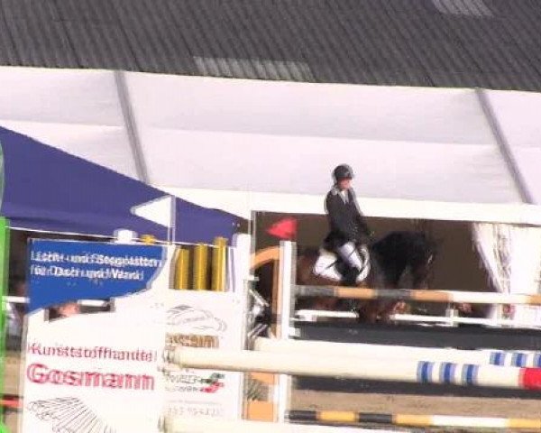 Dressur- und Springturnier Eröffnung der grünen Saison 2013