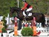 jumper Diacontop Diamond (Hanoverian, 2016, from Diacontinus)