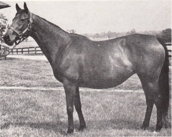 broodmare Milan Mill xx (Thoroughbred, 1962, from Princequillo xx)