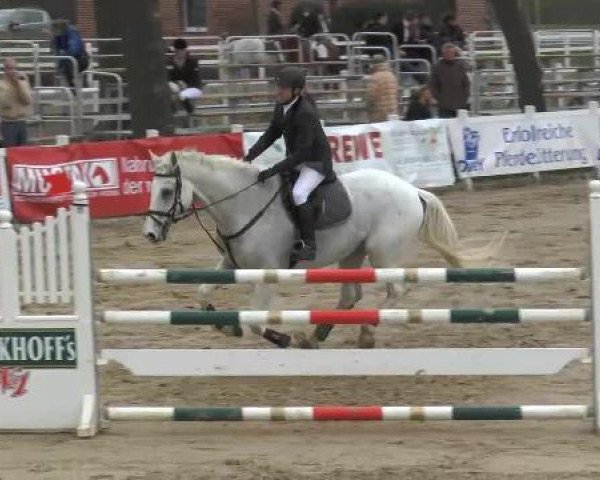 Lenklarer Reitertage auf der Reitsportanlage Gripshöver 2013
