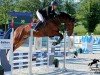 jumper Cancalit Z (Zangersheide riding horse, 2020, from Canoso)