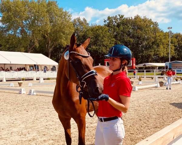 Dressurpferd Die immer Lacht 9 (Deutsches Reitpony, 2021, von D-Gold AT NRW)