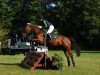 jumper Friedrichshof Night and Day (German Riding Pony, 2020, from FH Nightcapitol)