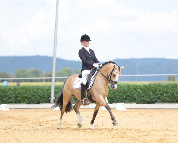 Dressurpferd Cadeaux du Ciel (Österreichisches Reitpony, 2016, von FS Champion de Luxe)