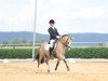 dressage horse Cadeaux du Ciel (Austrian Reitpony, 2016, from FS Champion de Luxe)