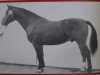 stallion Onix Mo 1237 (Heavy Warmblood, 1964, from Orpheus Th 802)