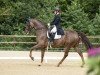 dressage horse Finley 115 (Westphalian, 2015, from Fürst Piccolo)