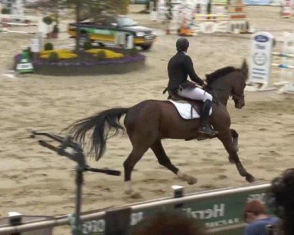 Lenklarer Reitertage auf der Reitsportanlage Gripshöver 2013
